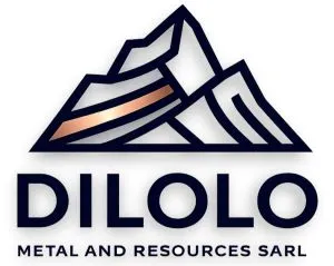 Dilolo Metal and Resources SARL