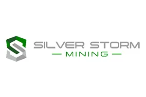 Logo - Silverstorm