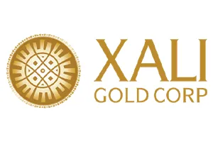 Logo - Xali Gold